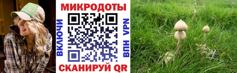 Галлюциногенные грибы Cubensis  Верхний Уфалей 